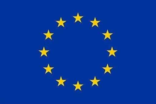 EU Flag Big